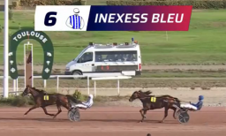 InexessBleu.png